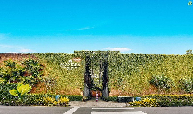 A lush, ivy-covered brick building is home to Anantara Spa in Bali. The entrance is framed by tall plants and tropical greenery. A pedestrian crosswalk is visible in the foreground, while the building's name and logo are prominently displayed on the left side. For a similar haven, explore Private Pool Villas in Phuket.