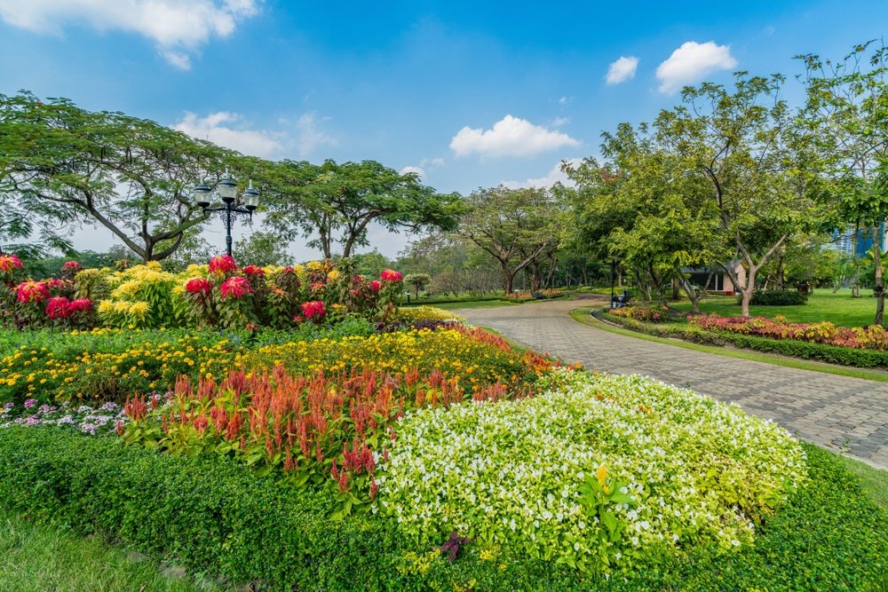 A beautifully landscaped park with vibrant, colorful flower beds featuring red, yellow, and white flowers awaits you among the natural attractions in Bangkok. A paved walkway curves through the greenery, lined by lush trees and bushes. In the background, the sky is a clear blue with a few scattered clouds.