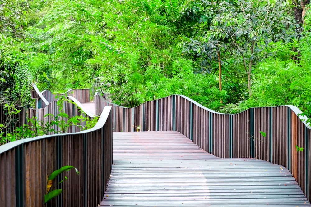 A wooden pathway with wavy, raised edges winds through a lush green forest. The walkway is elevated, offering a scenic route amidst dense foliage and tall trees. Reminiscent of the natural attractions in Bangkok, the structure blends harmoniously with its surroundings, creating a tranquil and serene atmosphere.