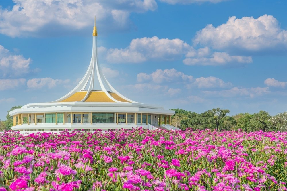 A circular, modern white building with a tall, gold-tipped spire is surrounded by a vibrant field of blooming pink flowers. The sky above is a bright blue with scattered fluffy clouds, creating a serene and picturesque landscape. This scene could rival the natural attractions in Bangkok. Trees line the horizon in the background.