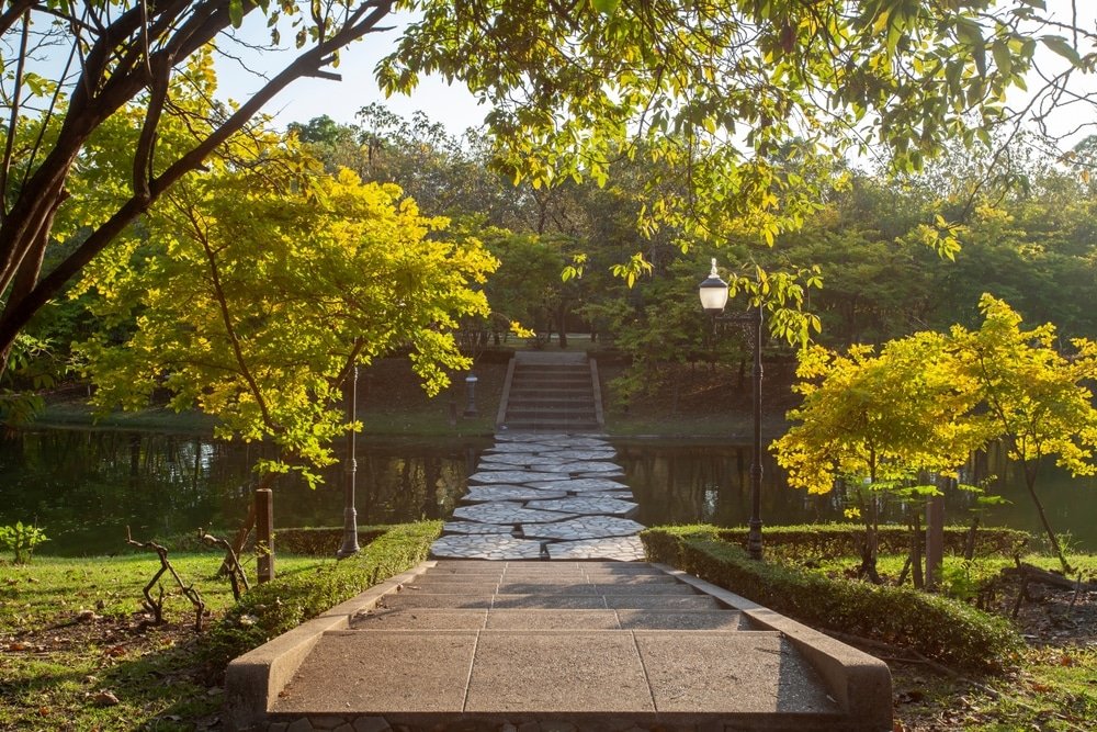 A stone path leads down to a riverbank, where large, flat stones form a stepping stone bridge across the water. The path is flanked by vibrant green and yellow foliage, and a lamppost stands near the water's edge. Sunlight filters through the trees, casting a warm glow over this serene natural attraction in Bangkok.