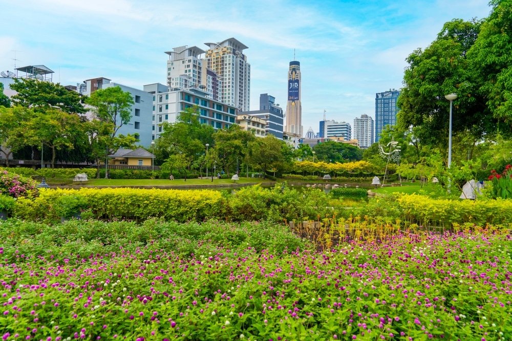 A series of wide, light brown stairs ascend an outdoor area, flanked by neatly pruned trees and lush vegetation, including green grasses and red-leaved plants. A glass elevator shaft stands prominently at the top of the stairs against a backdrop of a blue sky with a few clouds—reminiscent of natural attractions in Bangkok.