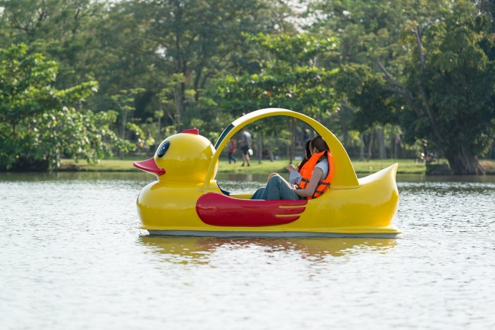 a person in a duck boat