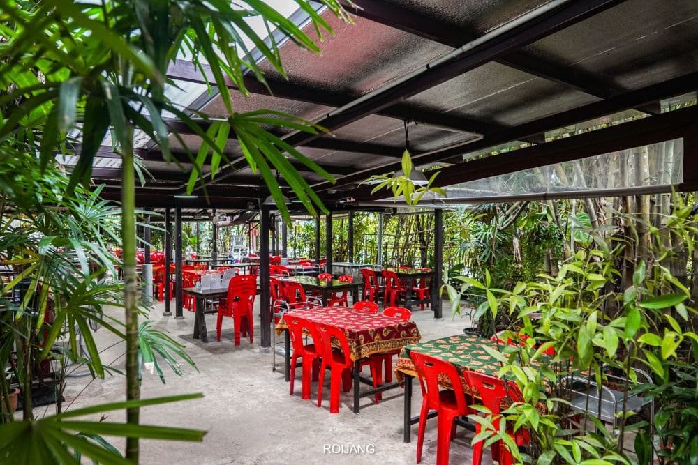 Outdoor restaurant patio with a glass roof, covered by greenery. Red plastic chairs and black-wooden tables with colorful tablecloths are arranged in rows. Lush green plants surround the seating area, creating a cozy atmosphere. The concrete floor blends seamlessly with the natural setting, embodying the charm of Phuket attractions.