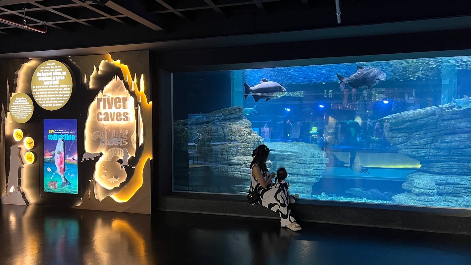 A woman and child sit on a bench facing a large aquarium tank, an intriguing highlight in many Phuket travel guides. Inside the tank, two large fish swim past rocky structures. The display signage reads "river caves" with additional information and colorful graphics. The environment is dimly lit, focused on the illuminated aquatic exhibit.