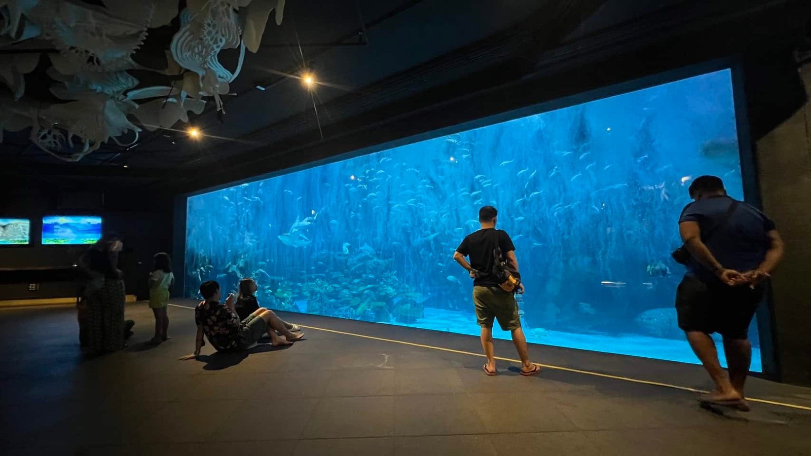 Visitors observe a large, illuminated aquarium filled with various fish and aquatic plants at an aquarium exhibit, one of the top Phuket attractions. Some people stand while others sit on the floor, gazing at the marine life. The dark room highlights the blue hue of the tank, creating a serene atmosphere.