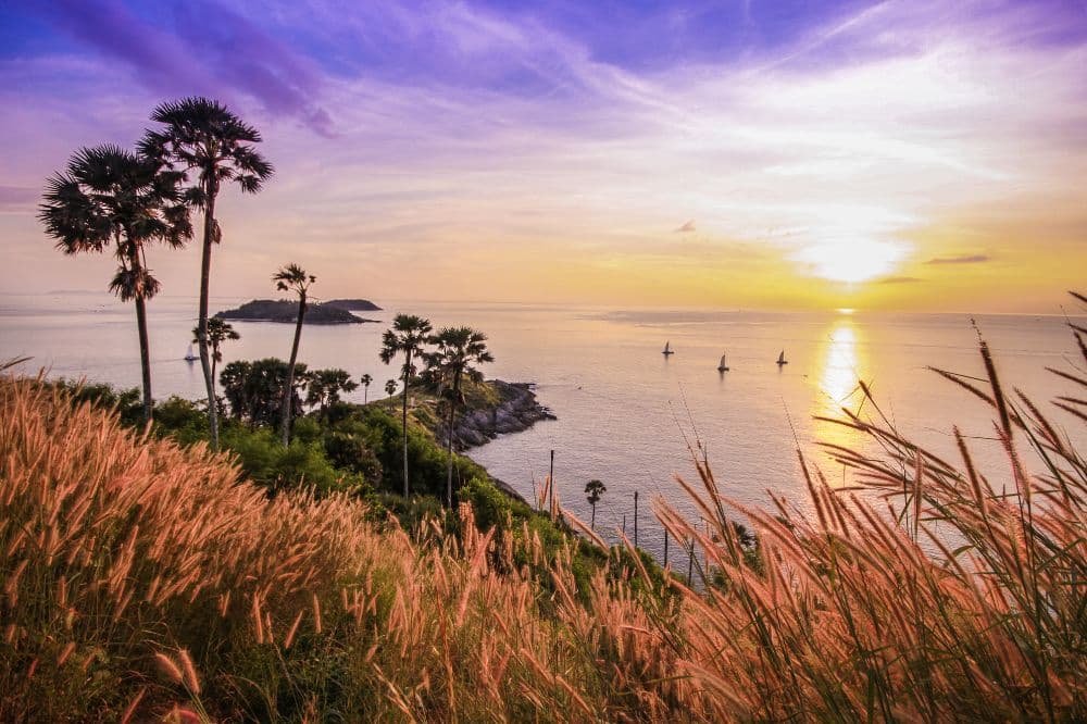 The image displays a stunning coastal sunset with tall palm trees and golden grass in the foreground, overlooking a calm ocean with small islands in the distance. The sky is painted with vibrant hues of purple, pink, and yellow as the sun sets on the horizon, reminiscent of tranquil evenings near Wat Chalong Phuket.