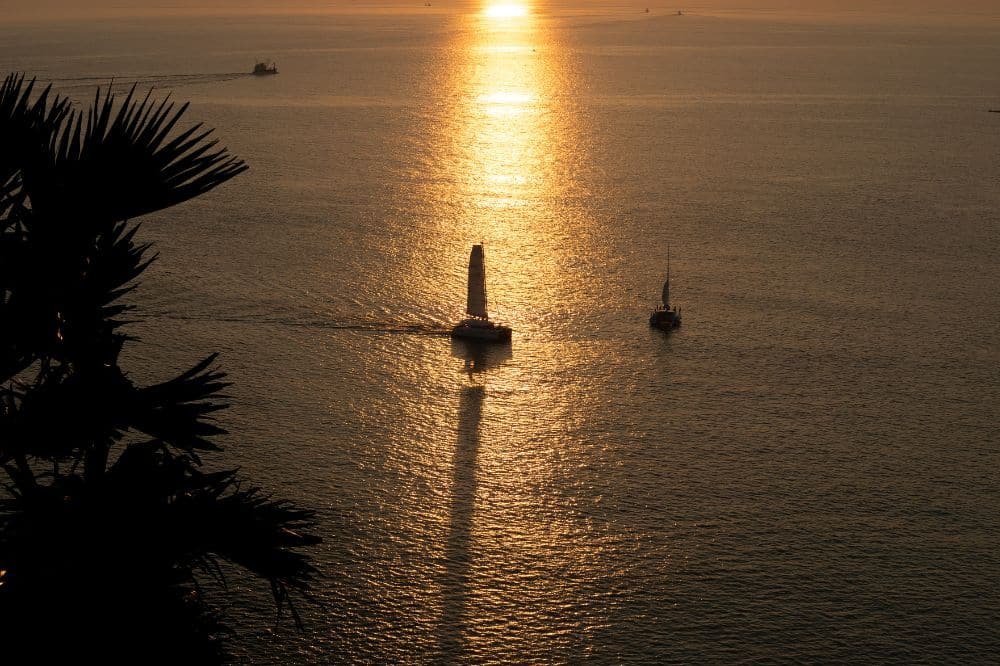 Two sailboats glide across a vast, calm body of water during sunset at Laem Phromthep. The golden light reflects off the water's surface, creating a shimmer around the boats. Silhouetted palm leaves frame the left side of the image, enhancing the serene, picturesque scene.