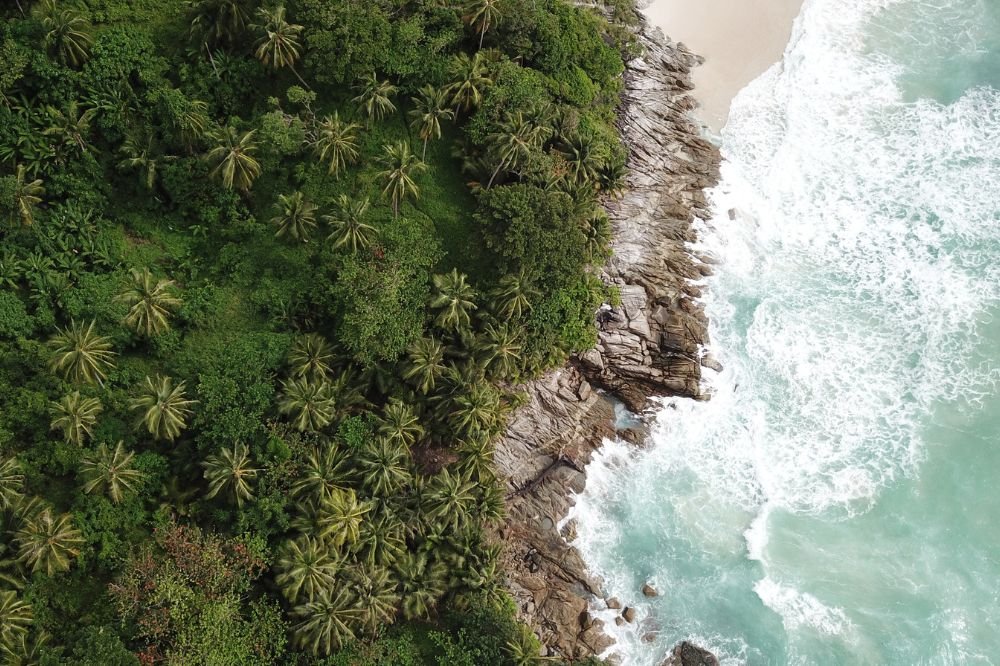 Aerial view of Patong Beach attractions reveals a tropical coastline. The dense forest of palm trees transitions into rocky cliffs as it approaches the shore. The cliffs meet a blue-green ocean with waves crashing onto the rocks, and a sandy beach is visible in the top right corner.