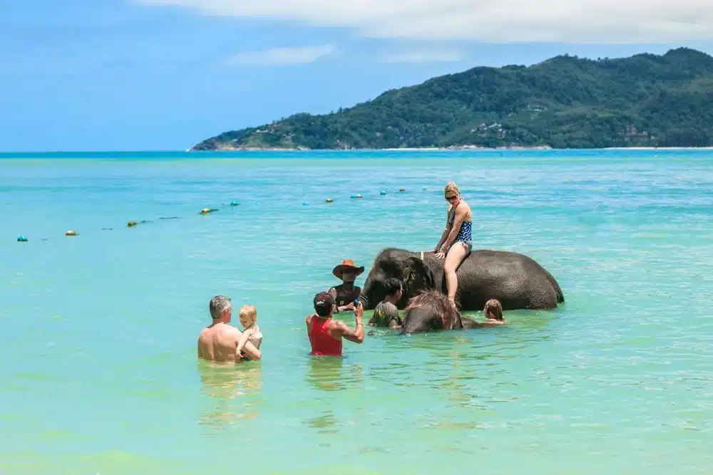 A group of people enjoy the ocean with two elephants. A woman in swimwear sits on one elephant while others stand next to the elephants, waist-deep in the water. Amidst a backdrop of mountains, clear sky, and vibrant blue water, this unique experience is among the best places to visit in Patong.