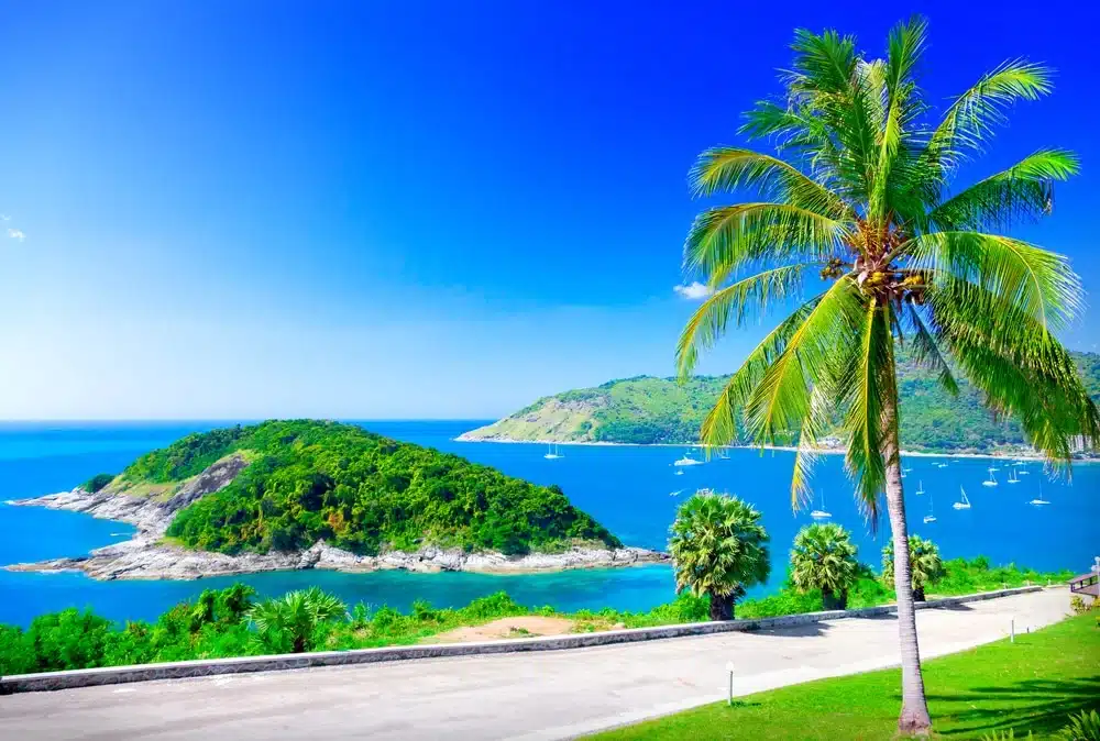 A tropical scene features a vibrant blue ocean with a small, lush green island near the foreground, reminiscent of Laem Phromthep. Multiple sailboats are scattered across the water. In the foreground, a tall palm tree stands on the right. The horizon shows more green hills under a clear, bright blue sky.
