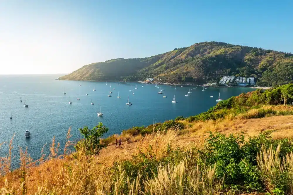 Scenic view of a bay with a clear blue sky and numerous sailboats anchored in calm, blue water surrounded by lush, tree-covered hills. The foreground features a grassy slope with dry, golden grasses and a few small bushes. Sunlight bathes the landscape at Laem Phromthep Sunset Viewpoint, enhancing the natural beauty.