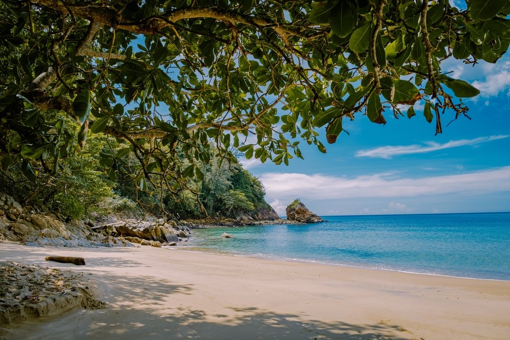 A serene tropical beach featuring soft white sand and clear turquoise waters. Overhanging leafy branches frame the top of the image, providing shade. Lush green trees cover the rocky hillside in the background under a bright blue sky with a few scattered clouds, creating a tranquil scene that epitomizes Phuket attractions.