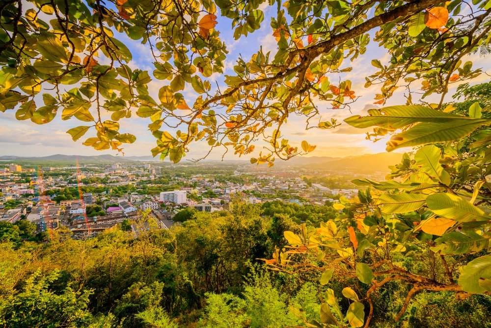 A vibrant cityscape viewed from above is framed by leafy tree branches. Under a golden sunset, the buildings and streets are bathed in warm light, with lush greenery in the foreground and distant hills on the horizon. The sky is dotted with clouds, adding to the picturesque scene straight out of a Phuket travel guide.