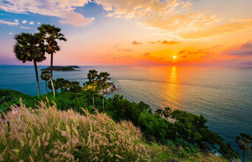 A vibrant sunset over a serene ocean, with the sun partially hidden by clouds, casting an orange and pink glow. Tall palm trees stand on a lush, green hill in the foreground. Grassy plants sway in the breeze, and a peninsula, one of Phuket's attractions, extends into the calm sea, blending forest and water beautifully.