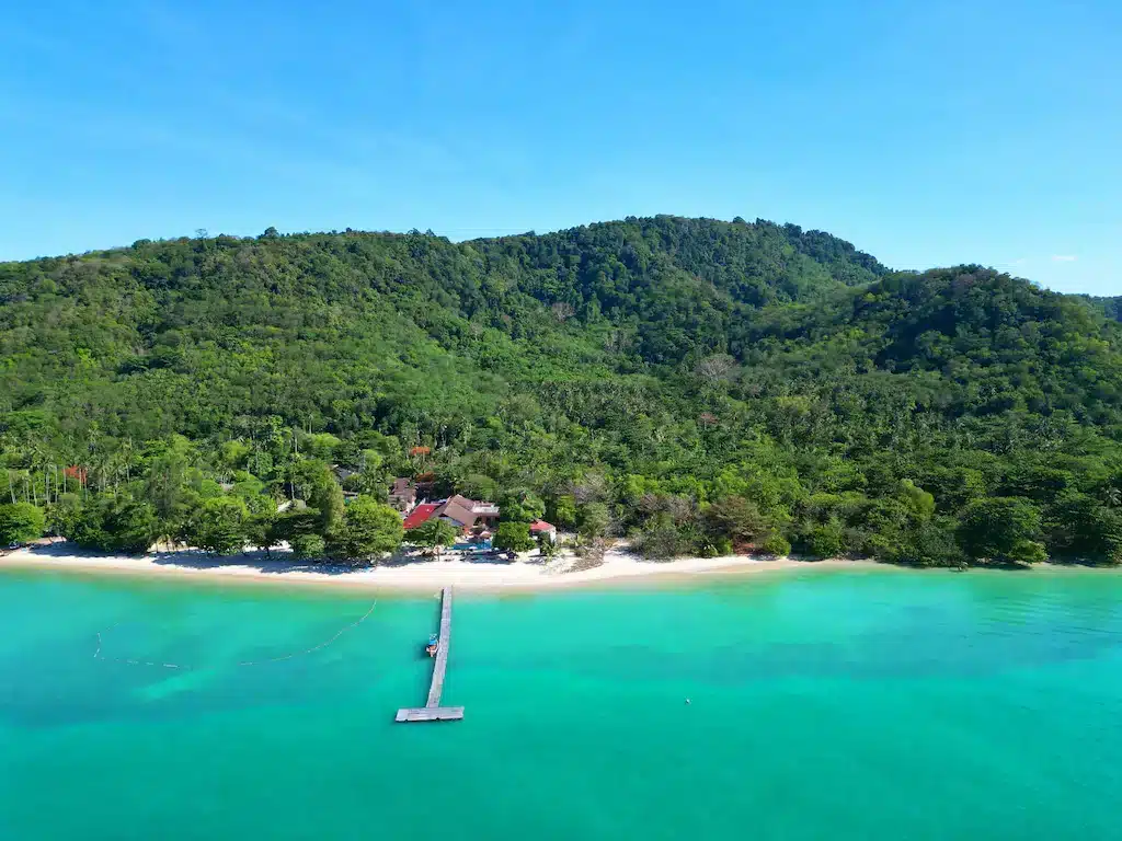 A vibrant turquoise sea stretches across the bottom of the image, leading to a sandy beach shaded by lush green tropical trees. A wooden pier extends from the shore into the water. In the background, a dense forest covering rolling hills rises beneath a clear blue sky—an idyllic setting near some of Phuket's best beachfront resorts.