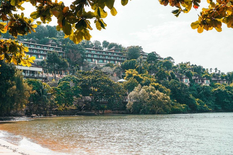 A serene waterfront view shows a lush hillside dotted with multi-level buildings surrounded by dense greenery. The foreground features calm water, with large, leafy branches framing the upper part of the image, evoking Phuket beachfront resorts and adding seclusion to the scenic landscape.